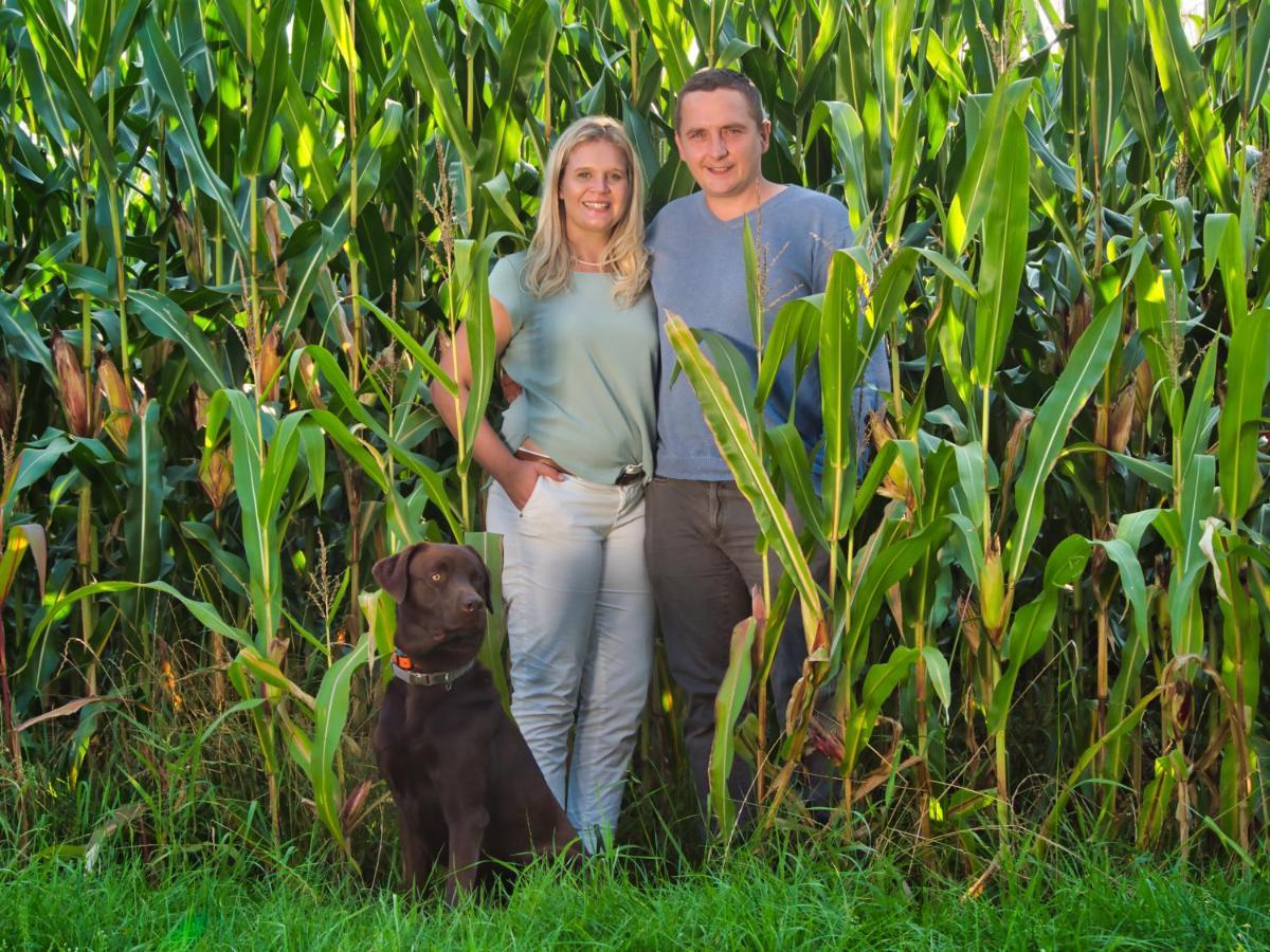 KirchlintelnBauernhofurlaub Bei Familie Bokeloh别墅 外观 照片